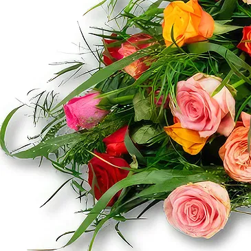 Holandia kwiaty- Bukiet pogrzebowy róże mieszane (70cm) Bukiet ikiebana