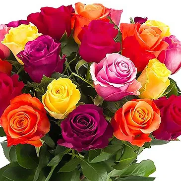 Amsterdam flowers  -  Mixed roses (40cm) Flower Bouquet/Arrangement