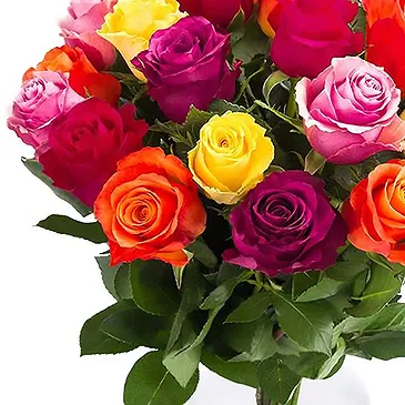 Amsterdam flowers  -  Mixed roses (40cm) Flower Bouquet/Arrangement
