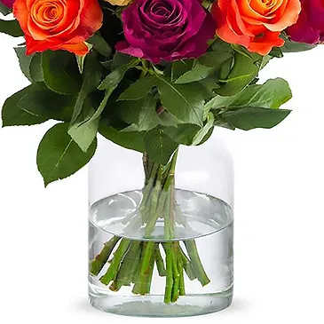 Amsterdam flowers  -  Mixed roses (40cm) Flower Bouquet/Arrangement