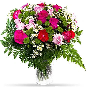 Holland flowers  -  Combo1 Flower Delivery