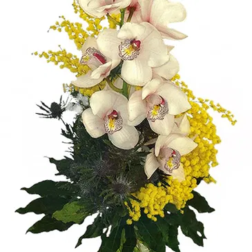 Vignone flowers  -  Orchid Branch with Mimosa Flower Bouquet/Arrangement