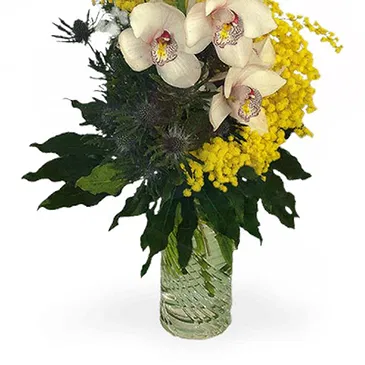Vignone flowers  -  Orchid Branch with Mimosa Flower Bouquet/Arrangement