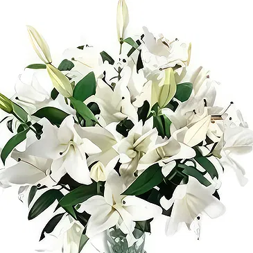 Nea Pavliani flowers  -  WHITE BEAUTY Flower Bouquet/Arrangement