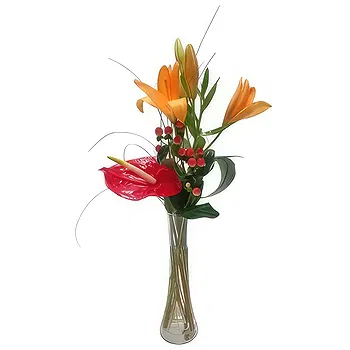 Madrid flowers  -  Vivid Fusion Flower Delivery