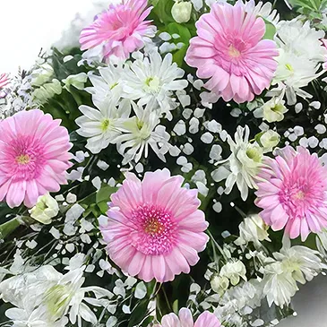 Molins flowers  -  Graceful Arrangements Flower Bouquet/Arrangement