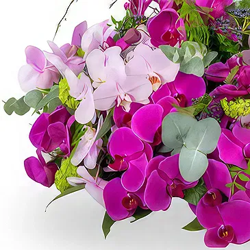 Zande blommor- Elegant rosa Biedermeier-hyllning Bukett/blomsterarrangemang