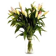 Dänemark Online Blumenhändler - Wunderschönes Geschenk Blumenstrauß