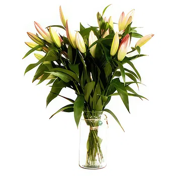Denmark flowers  -  Gorgeous Gift Flower Delivery