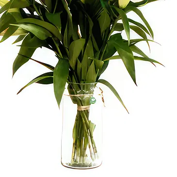 Dänemark Blumen Florist- Wunderschönes Geschenk Bouquet/Blumenschmuck