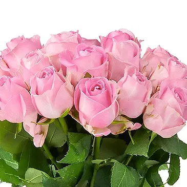 Amsterdam-Zuidoost flowers  -  Pink roses (40cm) Flower Bouquet/Arrangement