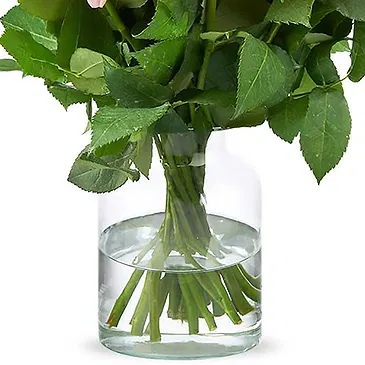 Amsterdam-Zuidoost flowers  -  Pink roses (40cm) Flower Bouquet/Arrangement