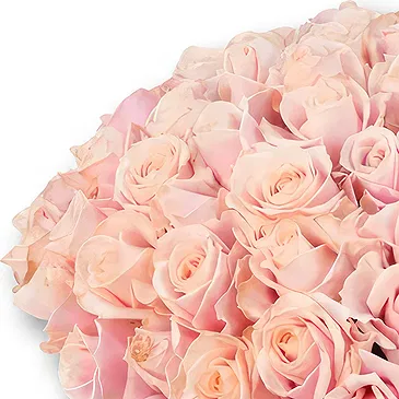 An-Najadah blomster- Elegant rosa rosebukett Blomsterarrangementer bukett