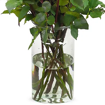 Colijnsplaat Blumen Florist- 15 rote Rosen | Erzeuger Bouquet/Blumenschmuck