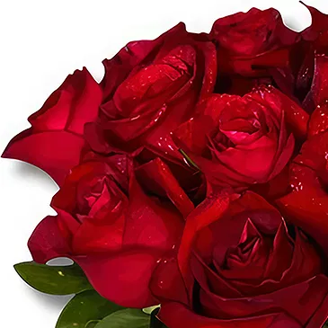 Garhoud flowers  -  Elegant Red Roses Bouquet Flower Bouquet/Arrangement