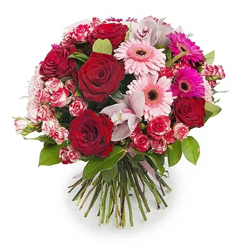 San Marino flowers  -  Roses & Gerberas Engagement Bouquet Flower Delivery