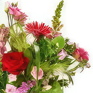 Vanlose flowers  -  Bouquet Pampering Time Flower Bouquet/Arrangement