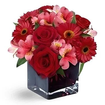 Greece flowers  -  DAZZLING LOVE Flower Bouquet/Arrangement