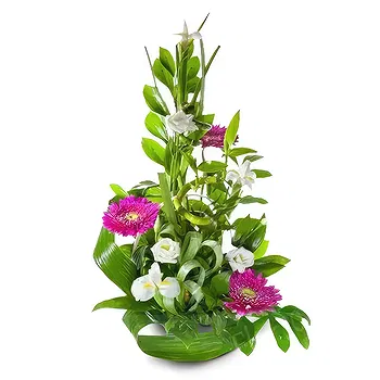 Madrid flowers  -  Winter's Grace Display Flower Delivery