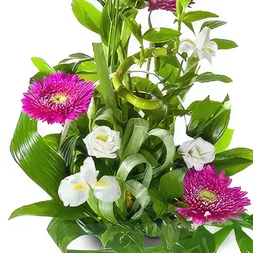 Cala Llonga flowers  -  Winter's Grace Display Flower Bouquet/Arrangement