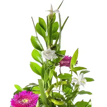 Cala Llonga flowers  -  Winter's Grace Display Flower Bouquet/Arrangement