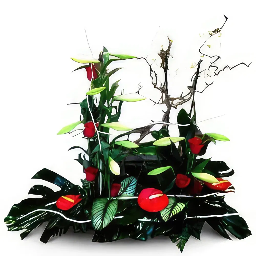 Mallorca flowers  -  Decentness