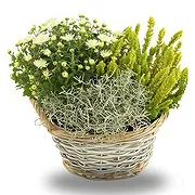 Gjesdal online bloemist - Elegante witte herfstbloemstuk Boeket