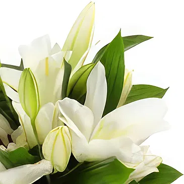 Gjesdal bloemen bloemist- Elegante witte lelie-arrangement Boeket/bloemstuk