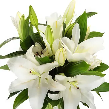 Gjesdal bloemen bloemist- Elegante witte lelie-arrangement Boeket/bloemstuk