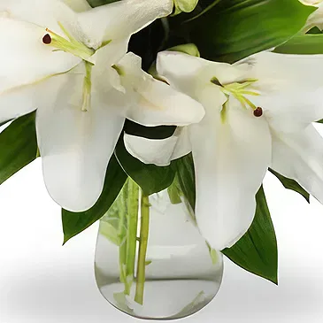 Gjesdal bloemen bloemist- Elegante witte lelie-arrangement Boeket/bloemstuk