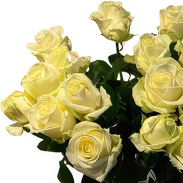 Aalst bloemen bloemist- Mont Blanc rozen Boeket/bloemstuk