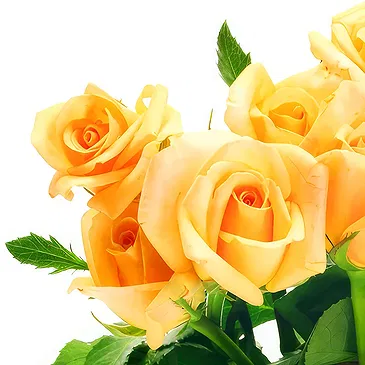Oman flowers  -  10 Yellow Roses in Vase Flower Bouquet/Arrangement