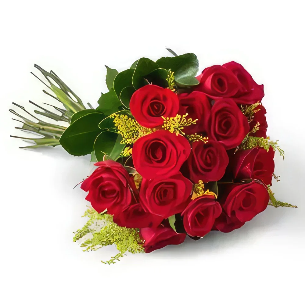 サンパウロ 花- 19本の紅バラの伝統的な花束 花束/フラワーアレンジメント