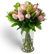 Brasilien Online Blumenhändler - Arrangement von 18 rosa Rosen und TopfLaub Blumenstrauß
