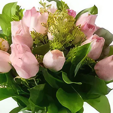 Brasilien Blumen Florist- Arrangement von 18 rosa Rosen und TopfLaub Bouquet/Blumenschmuck