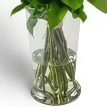Brasilien Blumen Florist- Arrangement von 18 rosa Rosen und TopfLaub Bouquet/Blumenschmuck