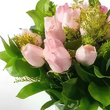 Brasilien Blumen Florist- Arrangement von 18 rosa Rosen und TopfLaub Bouquet/Blumenschmuck