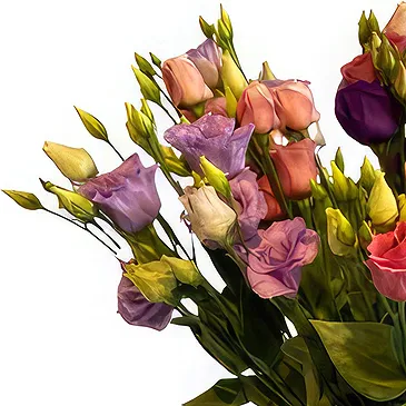 fleuriste fleurs de Jette- Lisianthus Bouquet/Arrangement floral