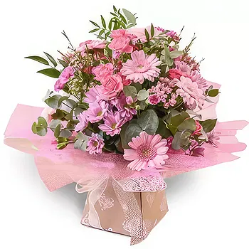 Antias flowers  -  Cutie Petals Flower Delivery