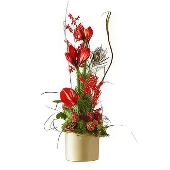 Serbia flowers  -  Christmas arrangement red Flower Delivery