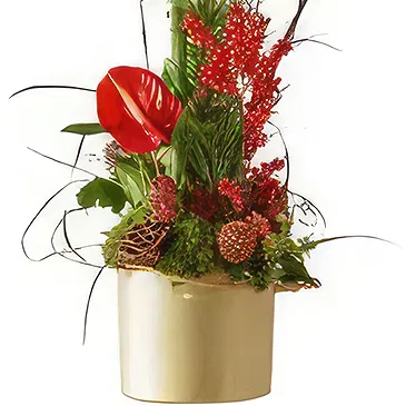 Smederevska Palanka flowers  -  Christmas arrangement red Flower Bouquet/Arrangement