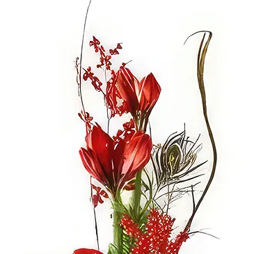 Smederevska Palanka flowers  -  Christmas arrangement red Flower Bouquet/Arrangement
