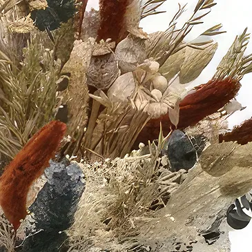 Mas de Moregons blommor- Spektrumsymfoni Bukett/blomsterarrangemang