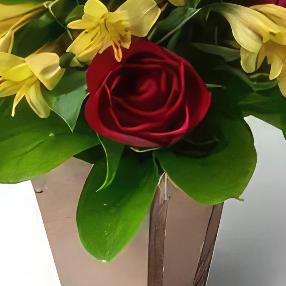 רסיפה פרחים- סידור קטן של ורדים אדומים וסטרומליה זר פרחים/סידור פרחים