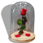 라 누 시아 온라인 꽃집 - 아름다움과 짐승 부케