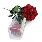 Benidorm Online Florist - Evig blomning Bukett