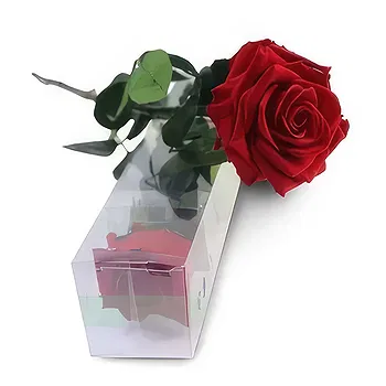 Madrid flowers  -  Eternal Blooms Flower Delivery