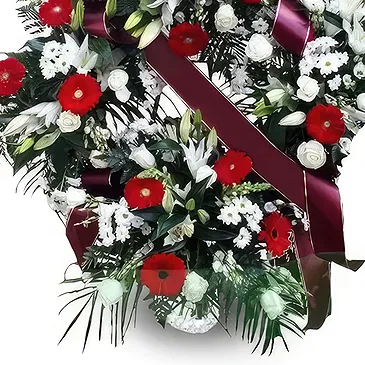 Cala Llonga flowers  -  Alabaster Bloom Halo Flower Bouquet/Arrangement