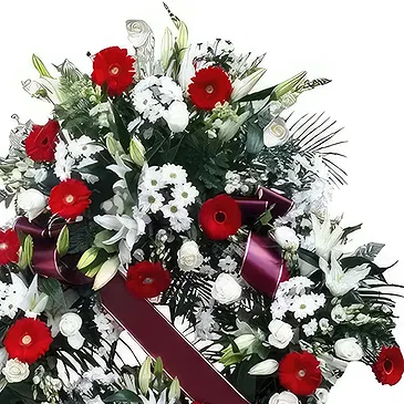 Cala Llonga flowers  -  Alabaster Bloom Halo Flower Bouquet/Arrangement