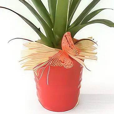 fiorista fiori di Laval- Pianta esotica Akira il Billbergia Bouquet floreale